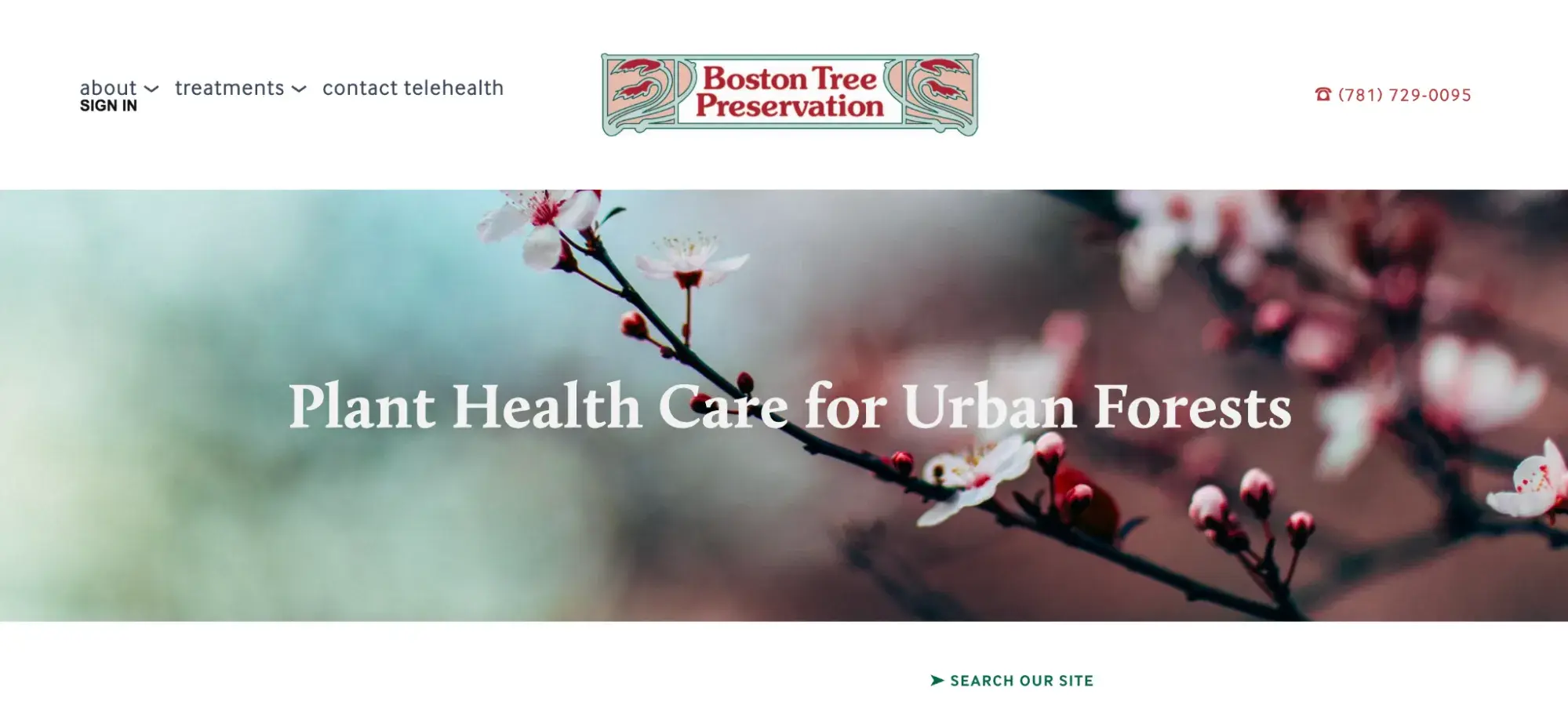 eta business example: boston tree preservation