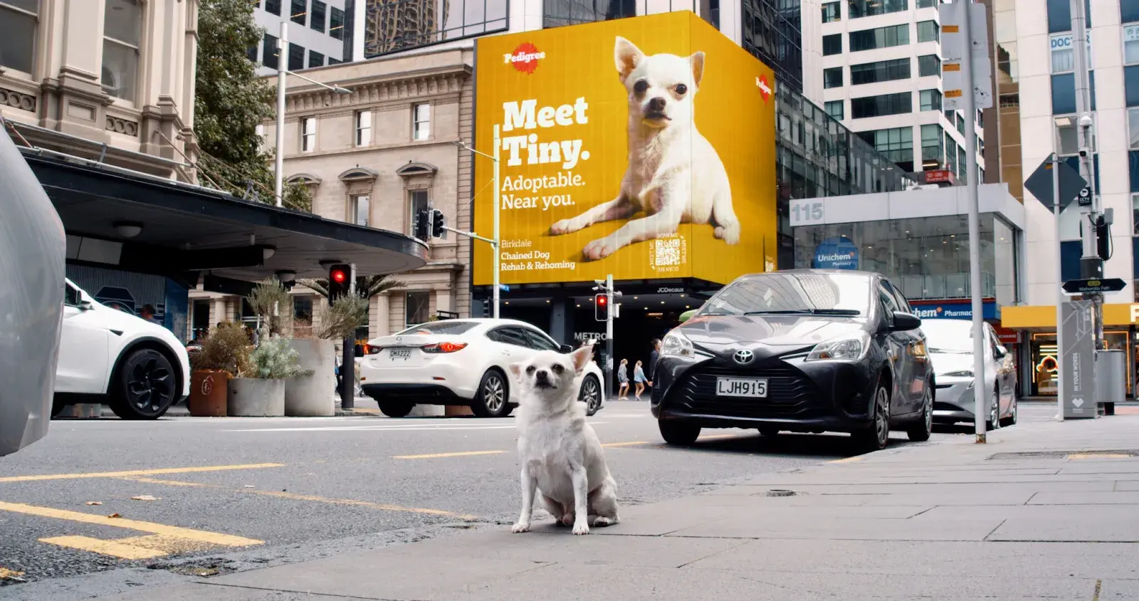 pedigree ai-driven ad