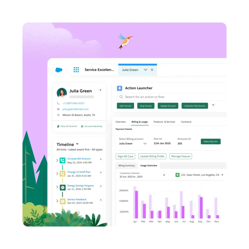 screenshot showing a contact in salesforce, a crm for utilities companies