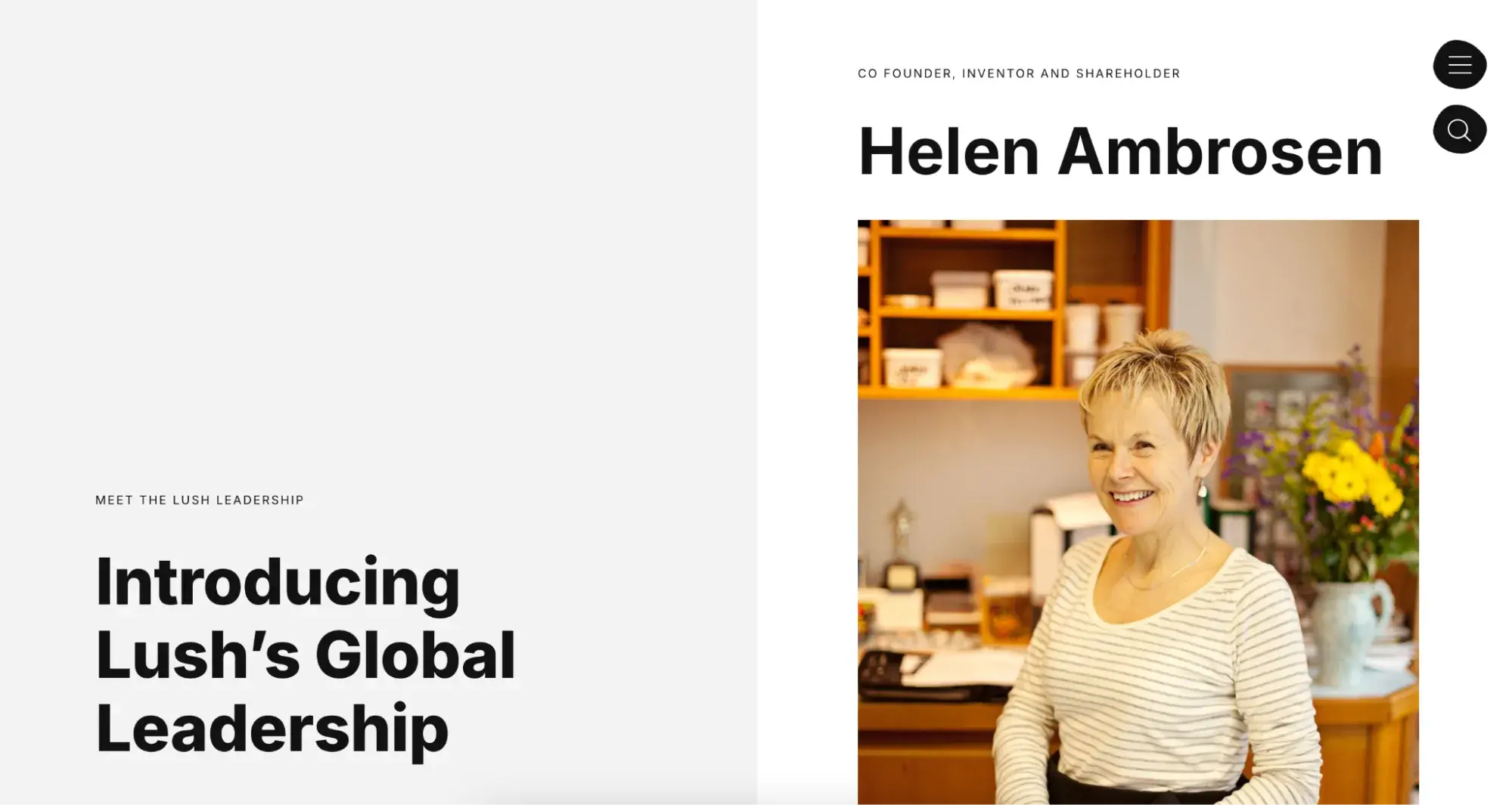 executive bio example for website